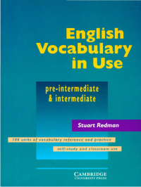 Image of English Vocabulary in Use (Pre-intermediate-Intermediate)