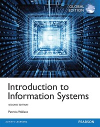 Image of Introduction To Information Systems second edition