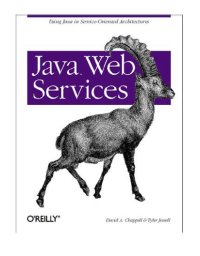 Image of Java Web Services - David Chappell - Tyler Jewell